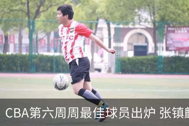 CBA第六周周最佳球员出炉 张镇麟萨林杰当选